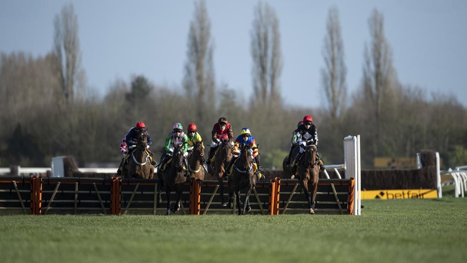 Newbury racecourse jumps action